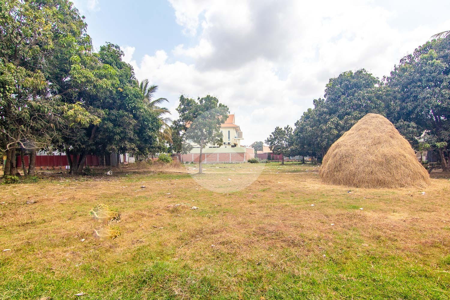   1657 Sqm Residential Land For Sale - Sangkat Siem Reap, Siem Reap