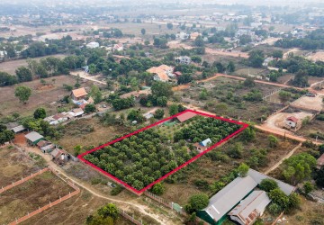 3200 Sqm Residential Land For Sale - Slor Kram, Siem Reap thumbnail