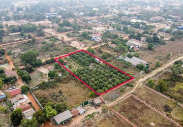 3200 Sqm Residential Land For Sale - Slor Kram, Siem Reap thumbnail