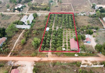 3200 Sqm Residential Land For Sale - Slor Kram, Siem Reap thumbnail