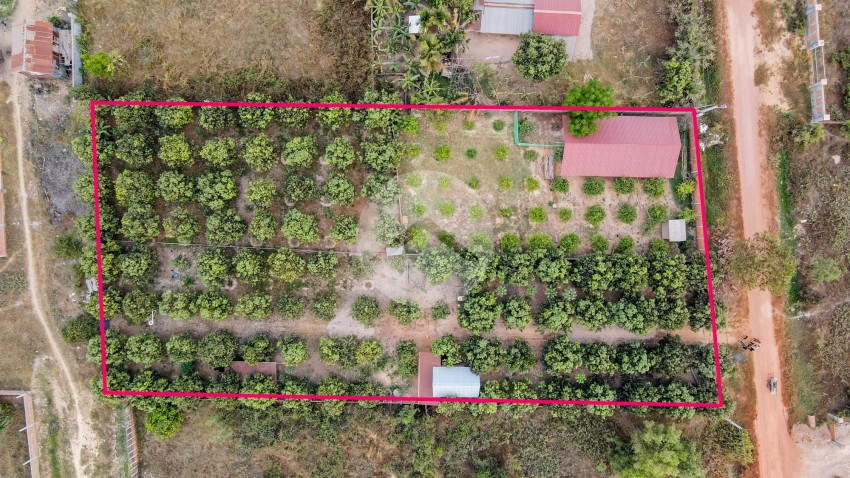 3200 Sqm Residential Land For Sale - Slor Kram, Siem Reap