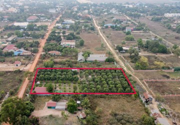 3200 Sqm Residential Land For Sale - Slor Kram, Siem Reap thumbnail