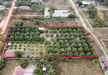 3200 Sqm Residential Land For Sale - Slor Kram, Siem Reap thumbnail