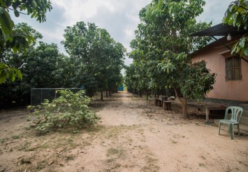 3200 Sqm Residential Land For Sale - Slor Kram, Siem Reap thumbnail