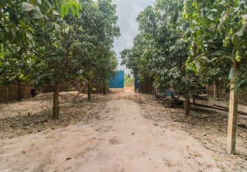 3200 Sqm Residential Land For Sale - Slor Kram, Siem Reap thumbnail