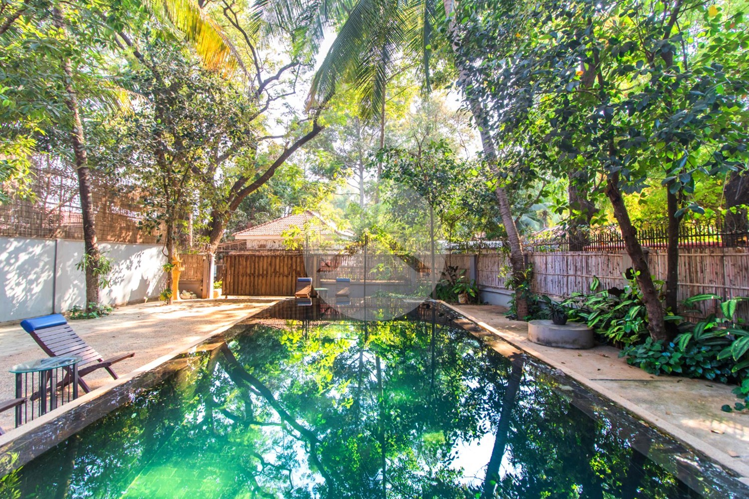 4 Bedroom Villa For Sale - Slor Kram, Siem Reap - Image 26