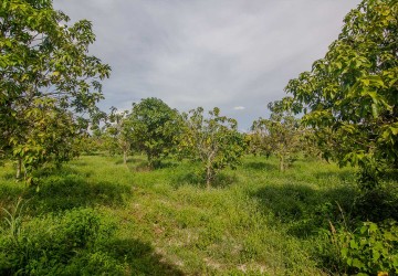 28 Hectare Land For Sale - Banteay Srei, Siem Reap thumbnail