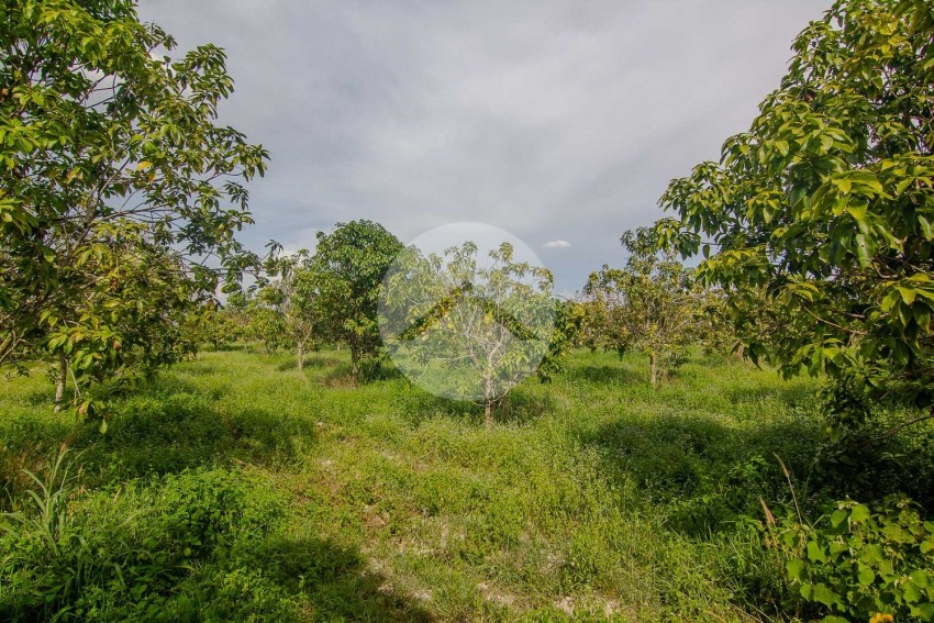 28 Hectare Land For Sale - Banteay Srei, Siem Reap