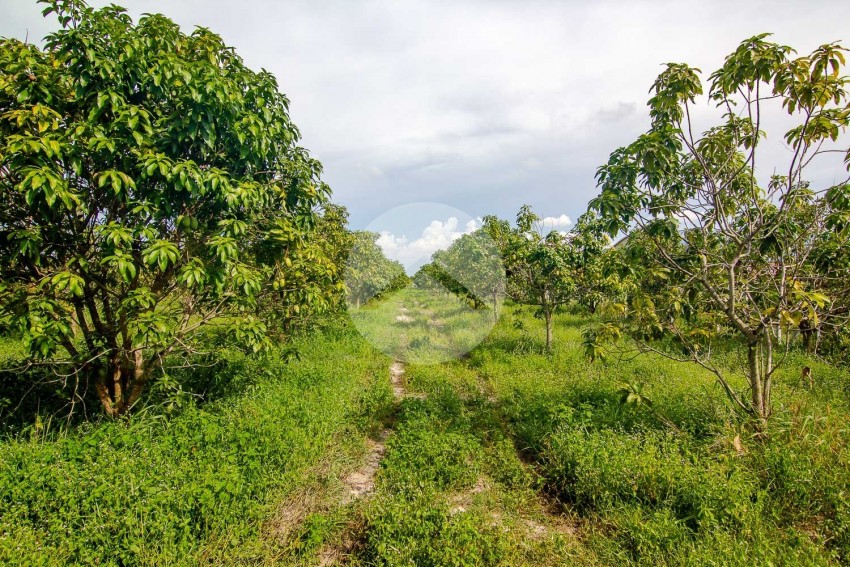 28 Hectare Land For Sale - Banteay Srei, Siem Reap
