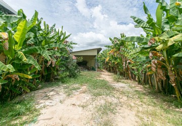 244 Sqm Residential Land For Sale - Slor Kram, Siem Reap thumbnail