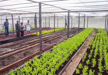  200 Hectare Land For Sale - Kampong Chhnang, Other Areas thumbnail