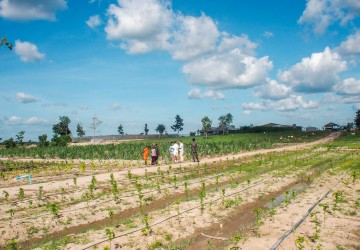  200 Hectare Land For Sale - Kampong Chhnang, Other Areas thumbnail