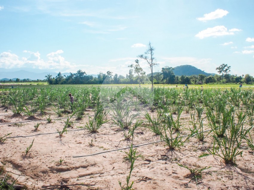  200 Hectare Land For Sale - Kampong Chhnang, Other Areas