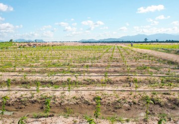  200 Hectare Land For Sale - Kampong Chhnang, Other Areas thumbnail