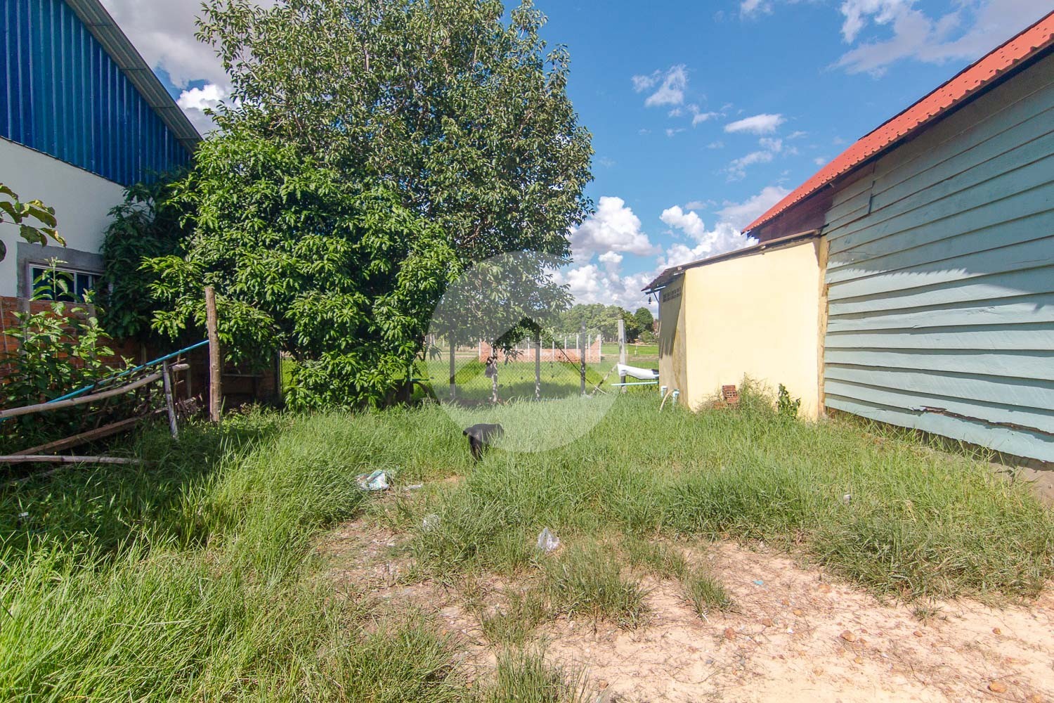 350 Sqm Residential Land For Sale - Sangkat Siem Reap, Siem Reap - Image 4
