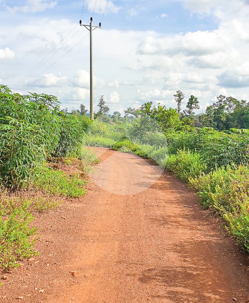12 Hectare Agricultural Land For Sale - Koh Ke, Preah Vihear - Image 7