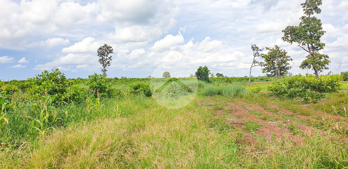 12 Hectare Agricultural Land For Sale - Koh Ke, Preah Vihear