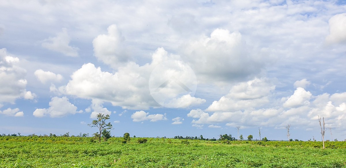 12 Hectare Agricultural Land For Sale - Koh Ke, Preah Vihear - Image 2