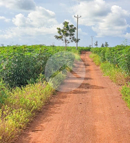 12 Hectare Agricultural Land For Sale - Koh Ke, Preah Vihear