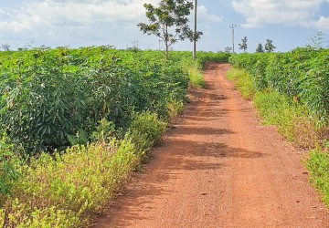 12 Hectare Agricultural Land For Sale - Koh Ke, Preah Vihear thumbnail