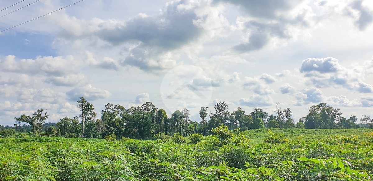 12 Hectare Agricultural Land For Sale - Koh Ke, Preah Vihear - Image 5