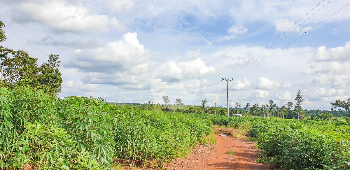 12 Hectare Agricultural Land For Sale - Koh Ke, Preah Vihear - Image 3