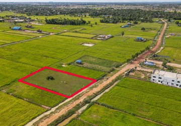 1650 Sqm Residential Land For Sale - Kandaek, Siem Reap  thumbnail