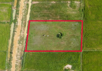 1650 Sqm Residential Land For Sale - Kandaek, Siem Reap  thumbnail