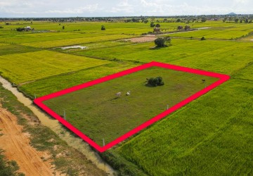 1650 Sqm Residential Land For Sale - Kandaek, Siem Reap  thumbnail