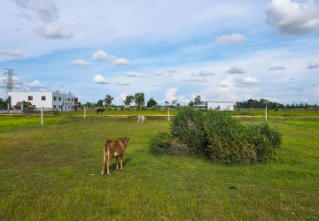 1650 Sqm Residential Land For Sale - Kandaek, Siem Reap  thumbnail