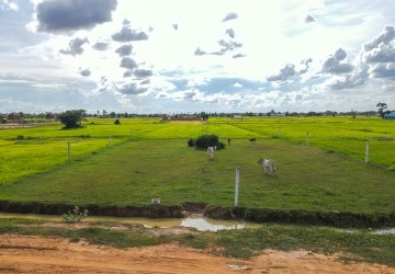 1650 Sqm Residential Land For Sale - Kandaek, Siem Reap  thumbnail