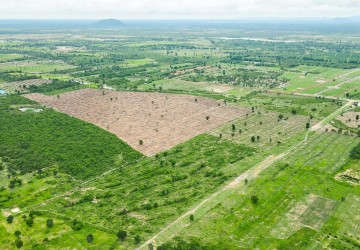 10 Hectare Land For Sale - Troav Kot, Siem Reap thumbnail