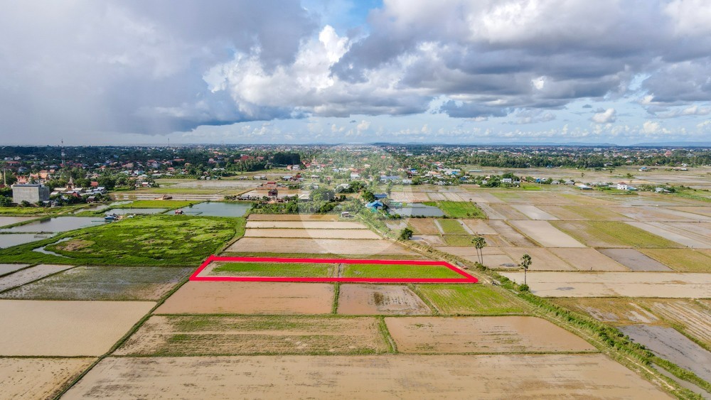  4358 Sqm Residential Land For Sale - Sangkat Siem Reap, Siem Reap