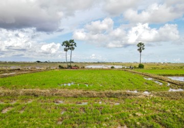  4358 Sqm Residential Land For Sale - Sangkat Siem Reap, Siem Reap thumbnail