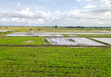  4358 Sqm Residential Land For Sale - Sangkat Siem Reap, Siem Reap thumbnail