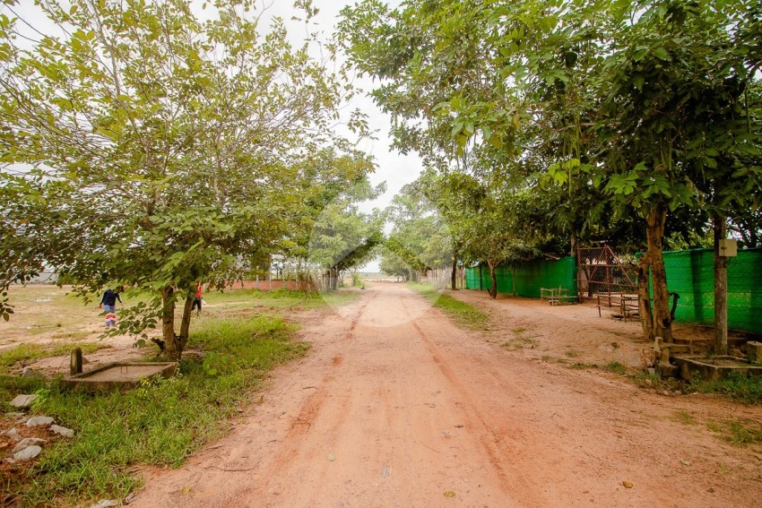  ដីលំនៅឋានទំហំ 100 ម៉ែត្រការ៉េ សម្រាប់លក់- សង្កាត់ជ្រាវ, ខេត្តសៀមរាប