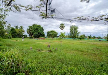   2500 Sqm Residential Land For Sale - Krabi Riel, Siem Reap thumbnail