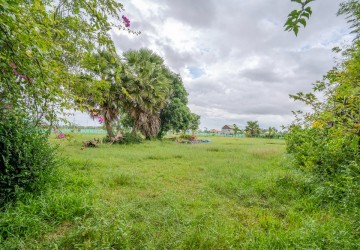   2500 Sqm Residential Land For Sale - Krabi Riel, Siem Reap thumbnail