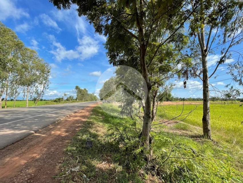 11645 Sqm Residential Land For Sale - Dam Dek, Siem Reap