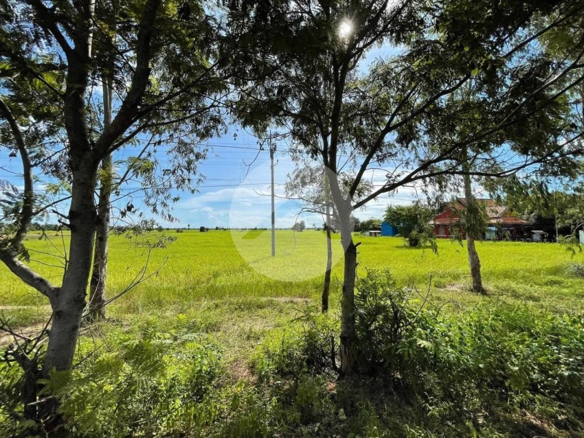 11645 Sqm Residential Land For Sale - Dam Dek, Siem Reap