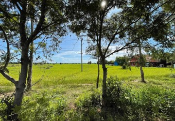 11645 Sqm Residential Land For Sale - Dam Dek, Siem Reap thumbnail