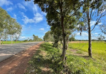 11645 Sqm Residential Land For Sale - Dam Dek, Siem Reap thumbnail