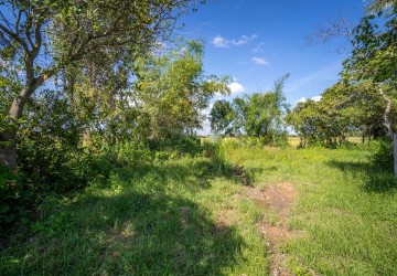   500 Sqm Residential Land For Sale - Svay Thom, Siem Reap thumbnail