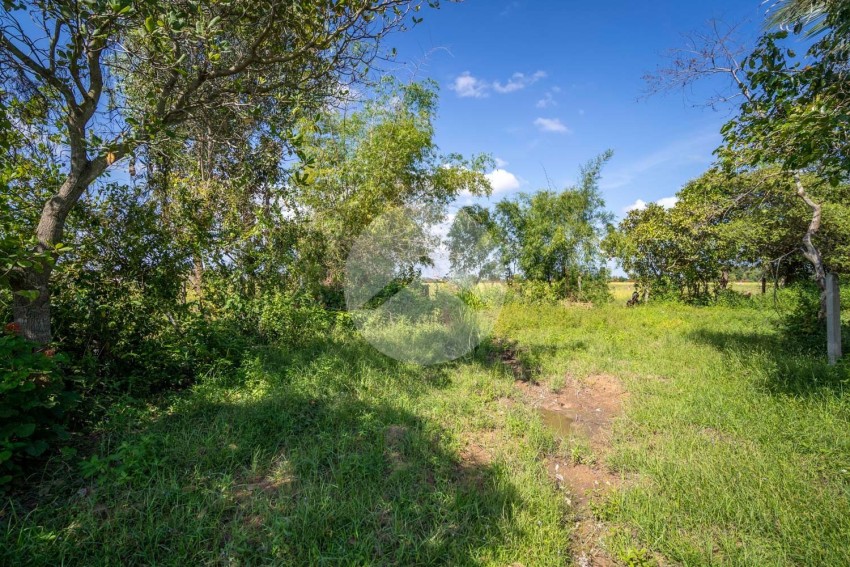   500 Sqm Residential Land For Sale - Svay Thom, Siem Reap