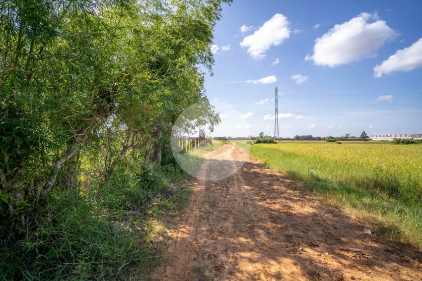   500 Sqm Residential Land For Sale - Svay Thom, Siem Reap