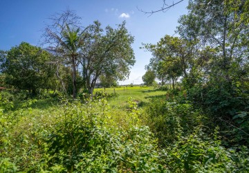   500 Sqm Residential Land For Sale - Svay Thom, Siem Reap thumbnail