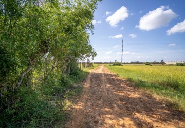   500 Sqm Residential Land For Sale - Svay Thom, Siem Reap thumbnail