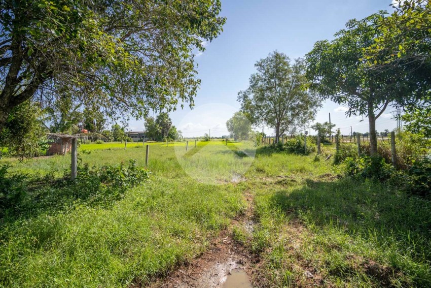   500 Sqm Residential Land For Sale - Svay Thom, Siem Reap