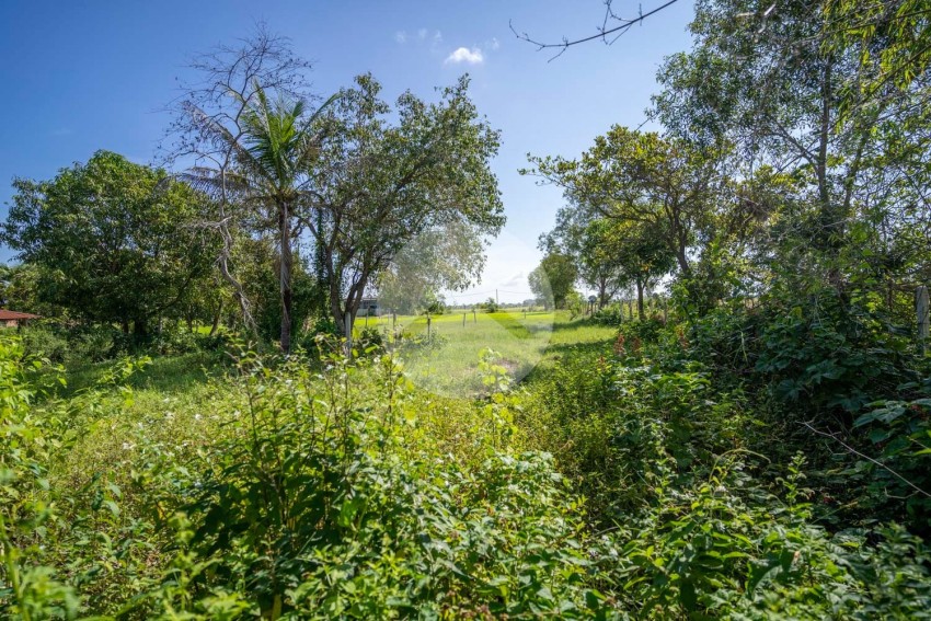   500 Sqm Residential Land For Sale - Svay Thom, Siem Reap