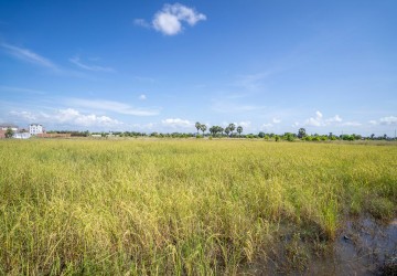  1935 Sqm Residential Land For Sale - Svay Thom, Siem Reap thumbnail